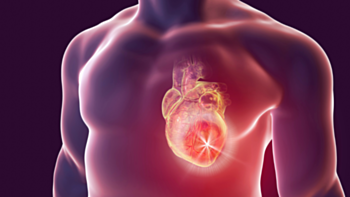 What happens during a cardiac arrest?