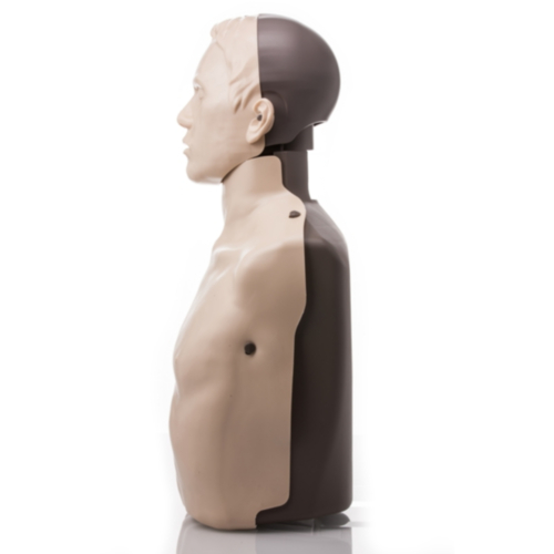 Brayden LIGHTS Manikin with RED LED lighting - 3392