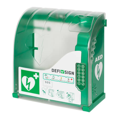 DefiSign / Aivia 210 Outdoor Cabinet with pin-lock - 9019